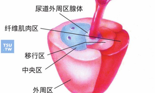 通便灵胶囊的作用-通便灵胶囊功能主治网-分享通便灵胶囊功能主治与用量，通便灵胶囊的功效和用法用量知识库
